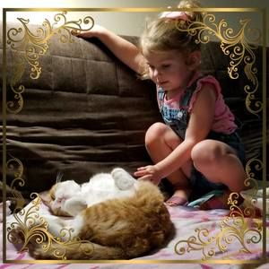 Meet your Posher, Shari